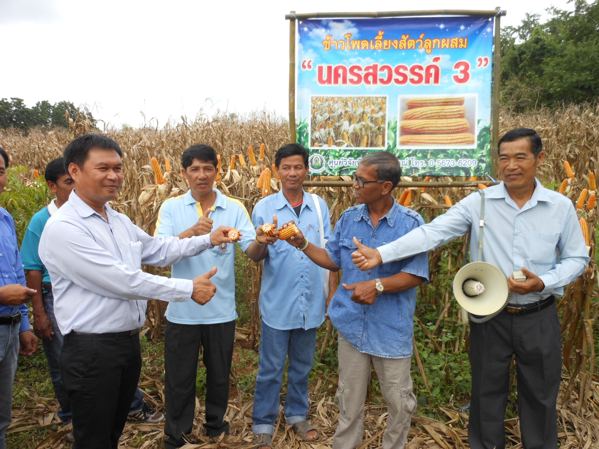 หมู่บ้านเมล็ดพันธุ์ข้าวโพด